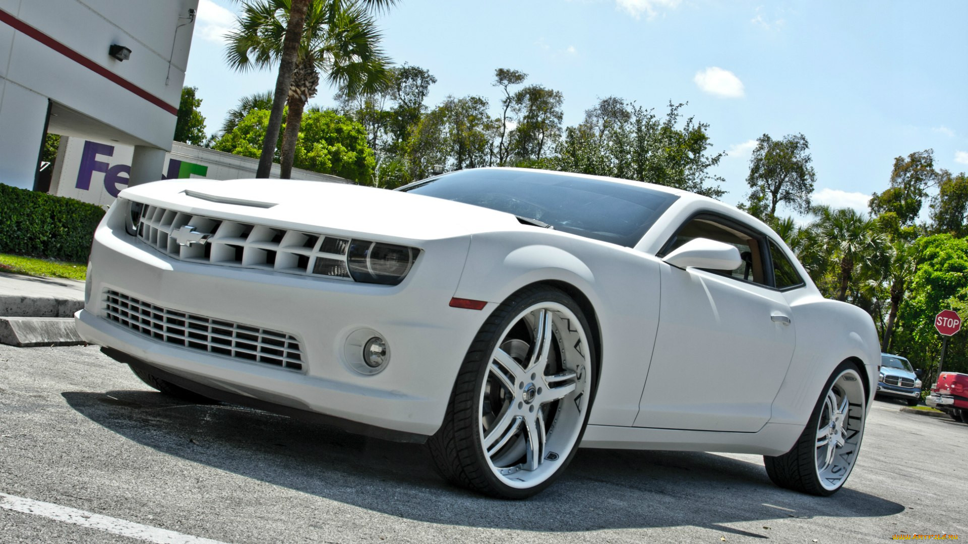 , camaro, asanti, chevrolet